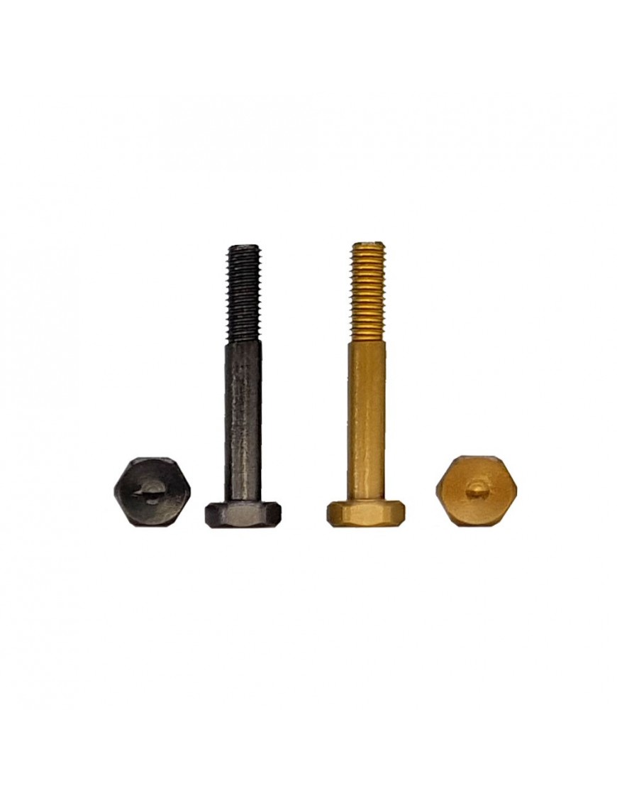 Shock Pins in Ergal 7075-T6 for TLR 8ight X