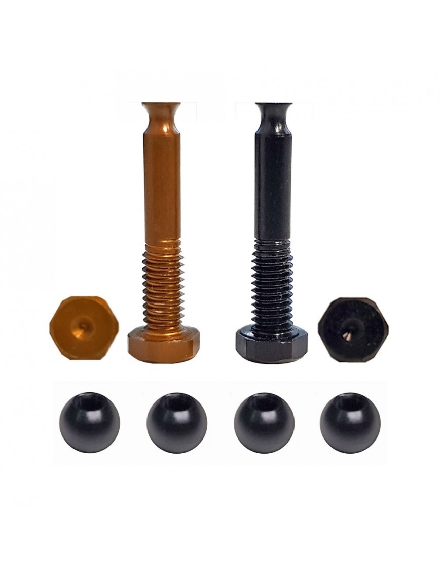 Perni Ammortizzatori in Ergal 7075-T6 per HB Racing D817 V2