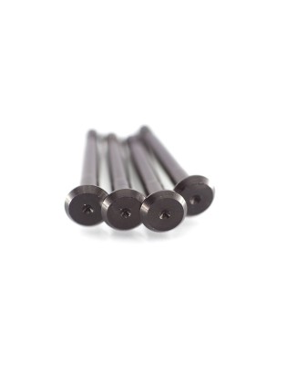 ONG Anti-Roll Bar Pins in Ergal 7075-T6 for Team Associated RC8B3.2